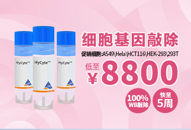细胞培养基冻存液